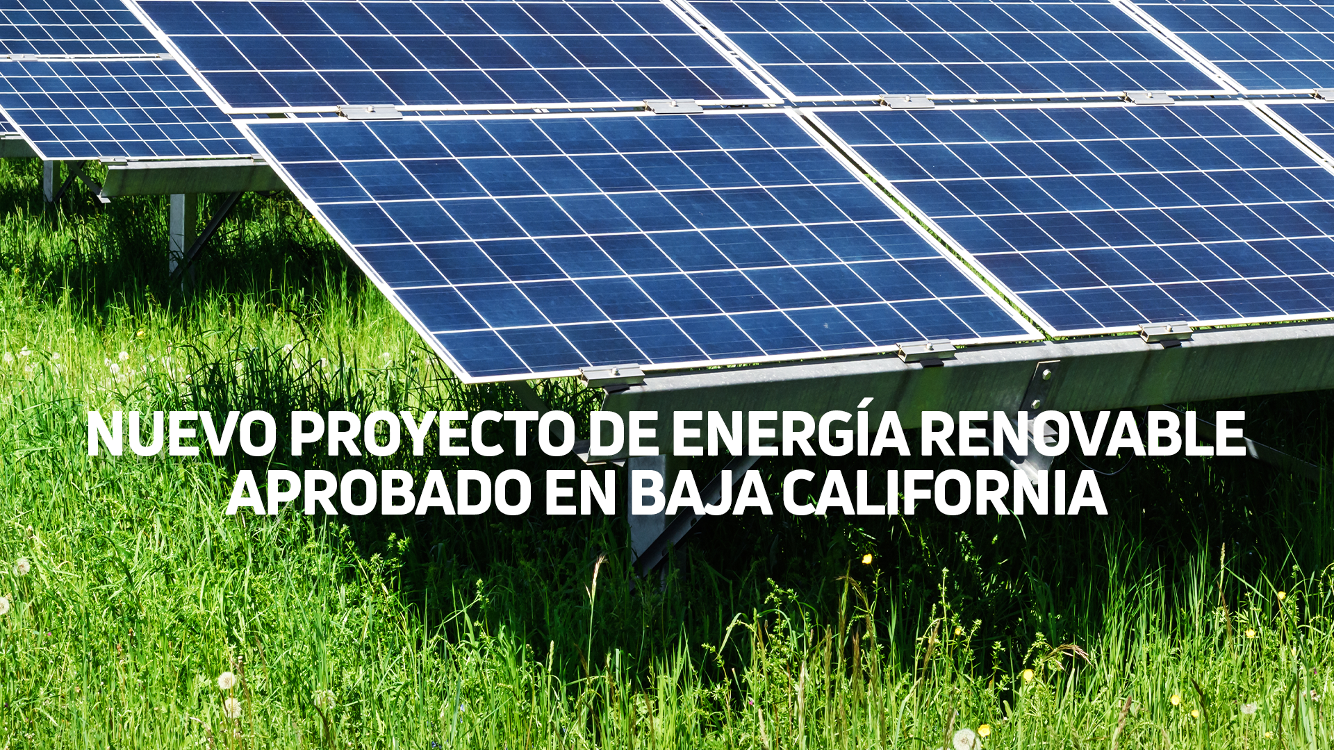 Nuevo proyecto de energía renovable aprobado en Baja California