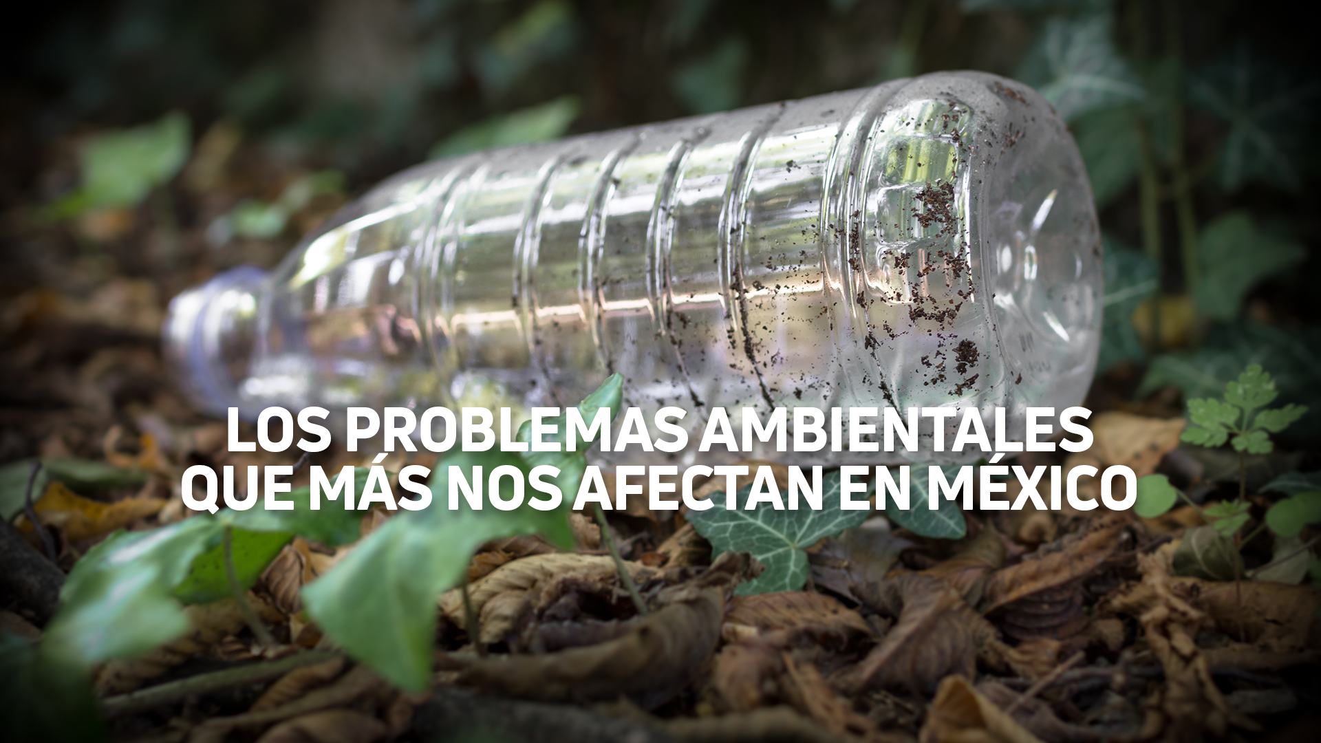 Los problemas ambientales que más nos afectan en México