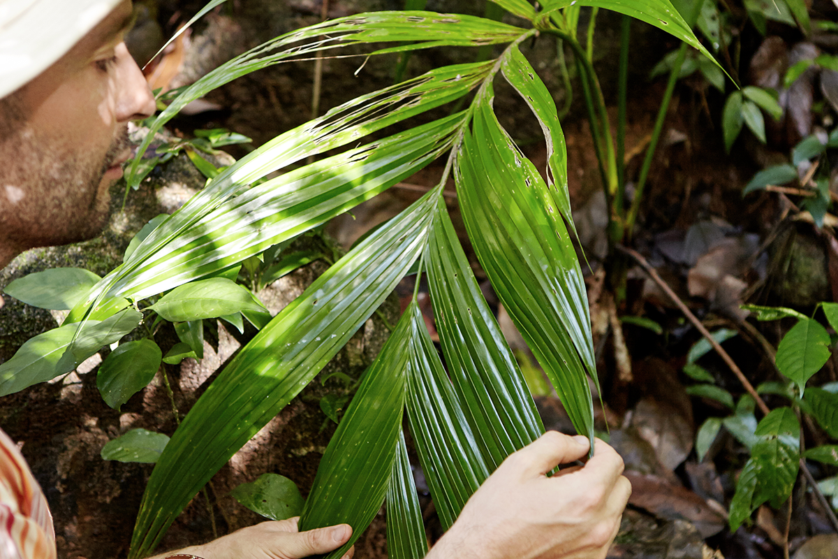 A propósito de la pandemia… ¿Qué proyectos se han evaluado en impacto ambiental?