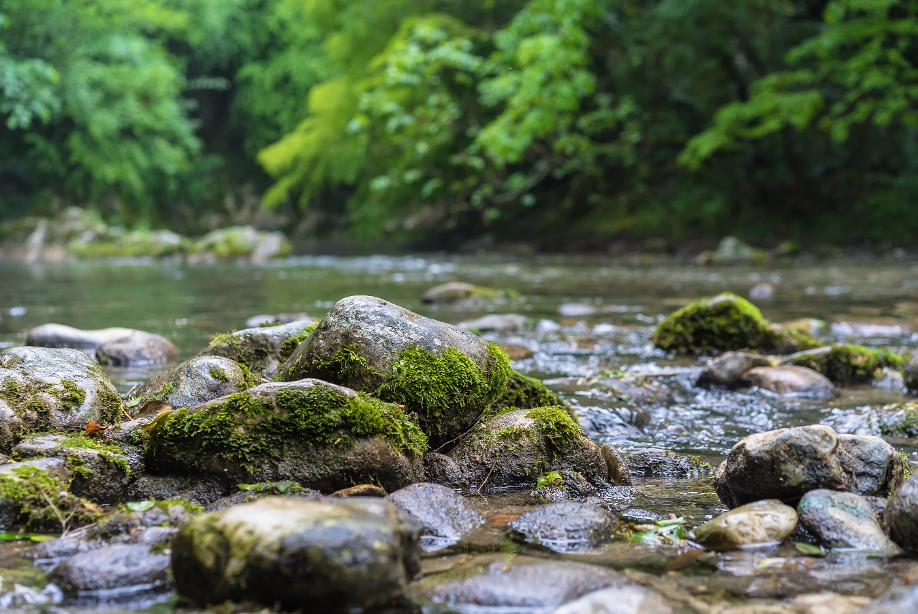 Seguimiento ambiental en la fase de mantenimiento y operación de proyectos